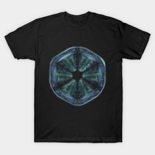 More Diatoms T-Shirt